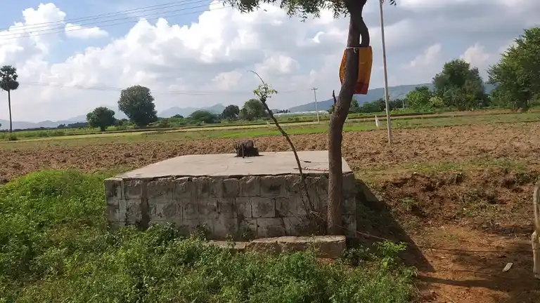 Arulmigu Sellayi Amman Temple, Kambilaiyampatti - 624401 அருள்மிகு செல்லலாயி அம்மன் திருக்கோவில், Kambilaiyampatti - 624401, Dindigul - Ancient Temple Architecture and History Image 2