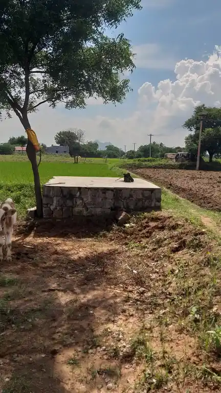 Arulmigu Sellayi Amman Temple, Kambilaiyampatti - 624401 அருள்மிகு செல்லலாயி அம்மன் திருக்கோவில், Kambilaiyampatti - 624401, Dindigul - Ancient Temple Architecture and History Image 3