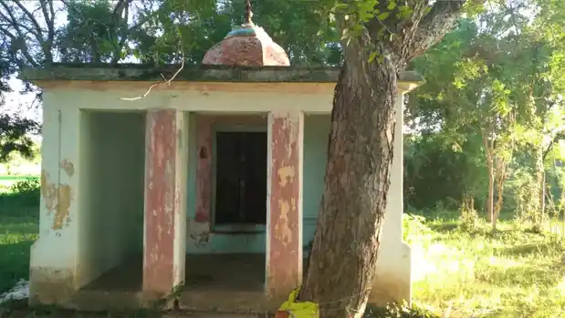 Arulmigu Selliamman, Manikkanatchiyamman Temple, Enanallur - 612602 அருள்மிகு செல்லியம்மன் திருக்கோயில், Enanallur - 612602, Thanjavur - Ancient Temple Architecture and History Image 3