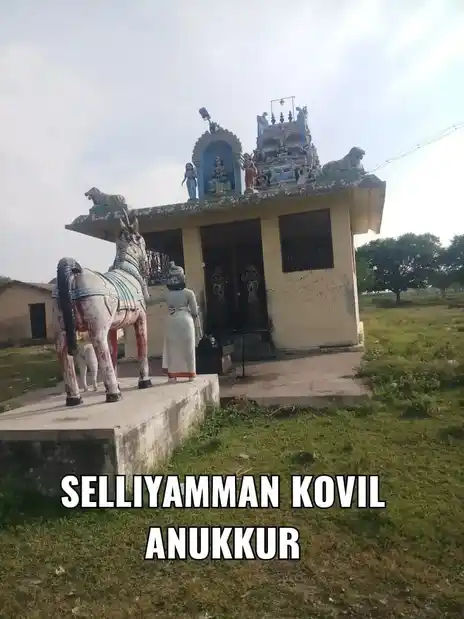Arulmigu Selliamman Temple, Anukkur - 621219 Temple