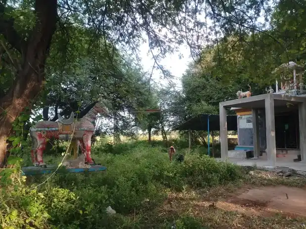 Arulmigu Selliamman Temple, Arasalur - 621102 Arulmigu Selliamman Temple, Arasalur - 621102, Perambalur - Ancient Temple Architecture and History Image 4