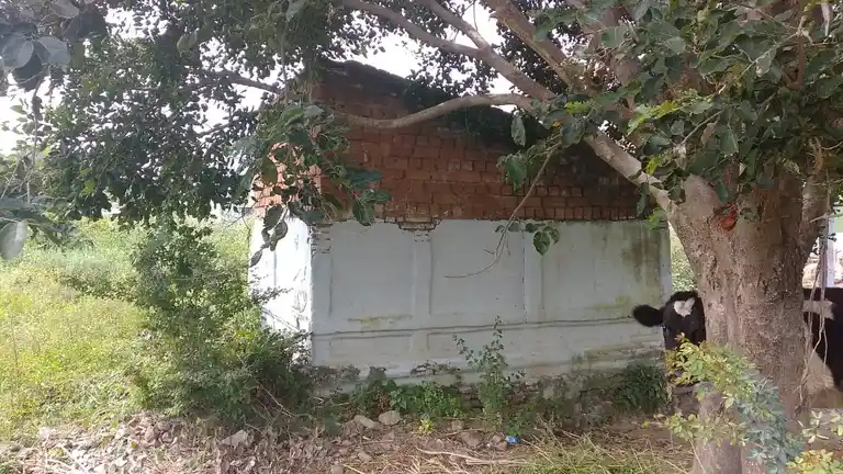 Arulmigu Selliamman Temple, Elagiri - 636807