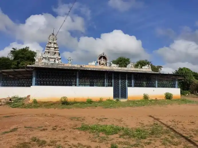 Arulmigu Selliamman Temple, Enathi - Palamuthi - 614615 அருள்மிகு செல்லியம்மன் திருக்கோயில், Enathi - Palamuthi - 614615, Thanjavur - Ancient Temple Architecture and History Image 4