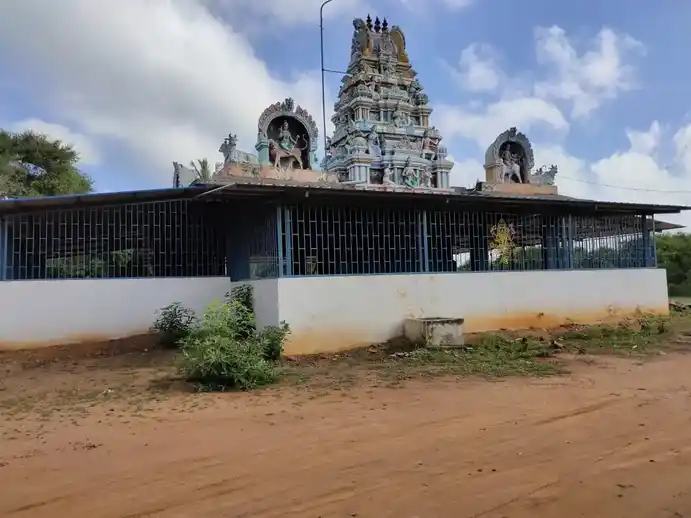Arulmigu Selliamman Temple, Enathi - Palamuthi - 614615 அருள்மிகு செல்லியம்மன் திருக்கோயில், Enathi - Palamuthi - 614615, Thanjavur - Ancient Temple Architecture and History Image 5