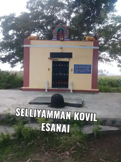 Arulmigu Selliamman Temple, Esanai - 621219 அருள்மிகு செல்லியம்மன் திருக்கோயில், Esanai - 621219, Perambalur - Ancient Temple Architecture and History Image 2