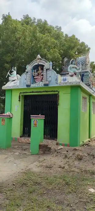 Arulmigu Selliamman Temple, Kattarankulam - 628952