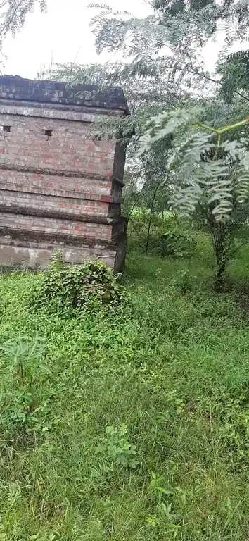 Arulmigu Selliamman Temple, Kurinjikudi - 608301 அருள்மிகு செல்லியம்மன் திருக்கோயில், Kurinjikudi - 608301, Cuddalore - Ancient Temple Architecture and History Image 4