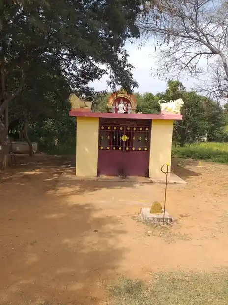 Arulmigu Selliamman Temple, Near Danbasco College, Tadangam - 636807 அருள்மிகு செல்லியம்மன் திருக்கோயில், Near Danbasco College, Tadangam - 636807, Dharmapuri - Ancient Temple Architecture and History Image 4