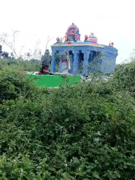 Arulmigu Selliamman Temple, Pimbalur - 621117 Temple