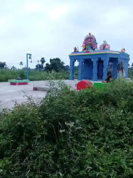 Arulmigu Selliamman Temple, Pimbalur - 621117 Arulmigu Selliamman Temple, Pimbalur - 621117, Perambalur - Ancient Temple Architecture and History Image 2