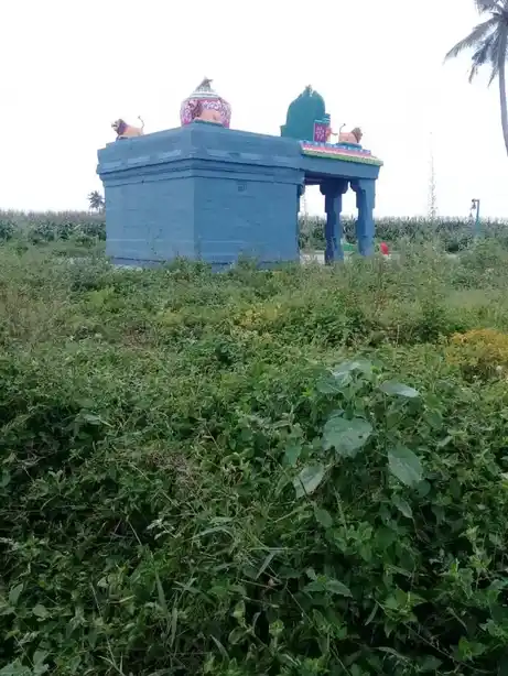 Arulmigu Selliamman Temple, Pimbalur - 621117 Arulmigu Selliamman Temple, Pimbalur - 621117, Perambalur - Ancient Temple Architecture and History Image 4