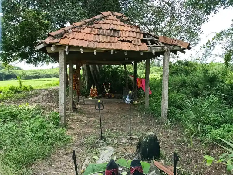 Arulmigu Selliamman Temple, Pulavarnatham - 613501 அருள்மிகு செல்லியம்மன் திருக்கோயில், Pulavarnatham, Pulavarnatham - 613501, Thanjavur - Ancient Temple Architecture and History Image 2