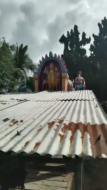 Arulmigu Selliamman Temple, Sannasinallur - 621730 Temple