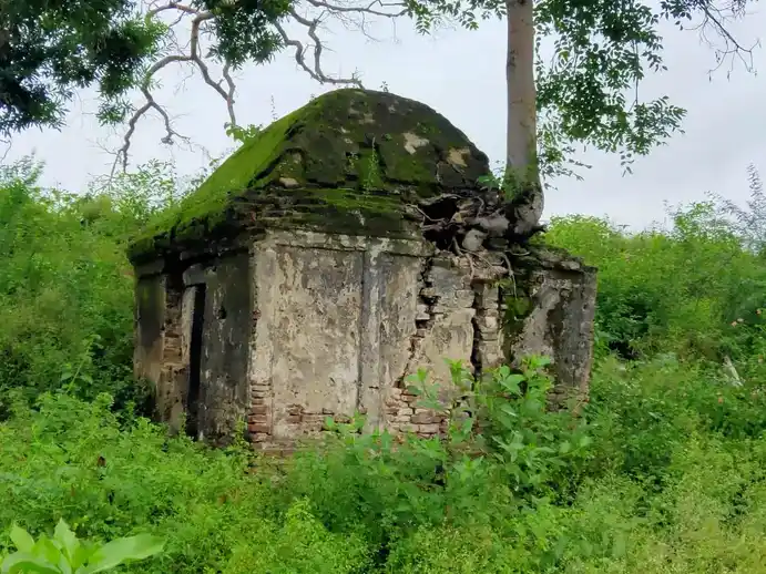 Arulmigu Selliamman Temple, Thambai - 621115 Arulmigu Selliamman Temple, Thambai - 621115, Perambalur - Ancient Temple Architecture and History Image 4