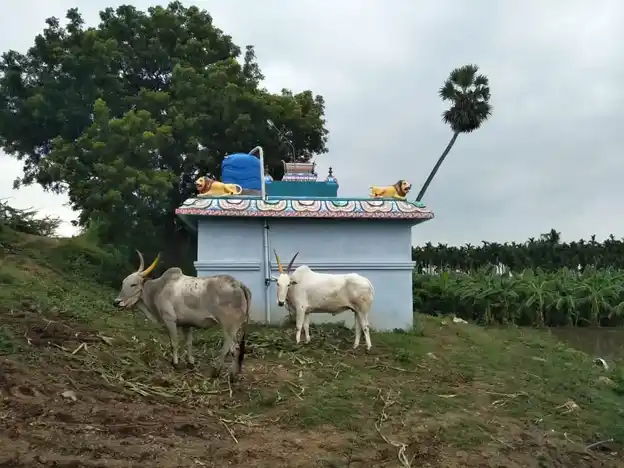 Arulmigu Selliamman Temple, Thedavur - 636116 அருள்மிகு செல்லியம்மன் திருக்கோயில், Thedavur - 636116, Salem - Ancient Temple Architecture and History Image 7