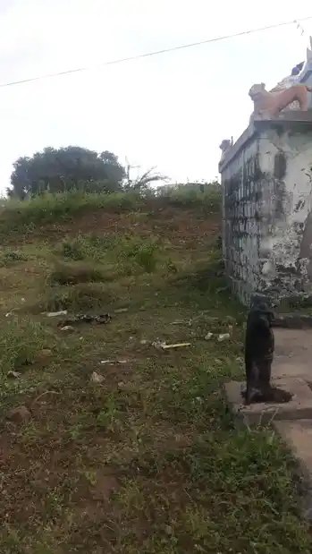 Arulmigu Selliamman Temple, Thevaiyur - 621115 அருள்மிகு செல்லியம்மன் திருக்கோயில், Thevaiyur - 621115, Perambalur - Ancient Temple Architecture and History Image 3