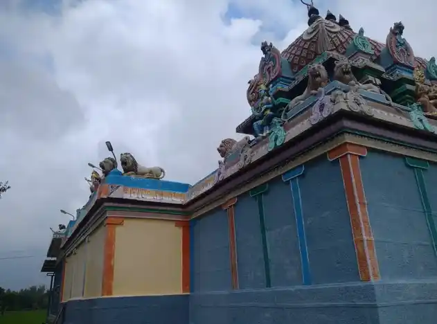 Arulmigu Selliamman Temple, Thiruppampuram - 609405 அருள்மிகு செல்லியம்மன் ஆலயம், Thiruppampuram - 609405, Thiruvarur - Ancient Temple Architecture and History Image 2