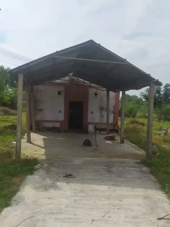 Arulmigu Selliamman Temple, Valikandapuram - 621117 Arulmigu Selliamman Temple, Valikandapuram - 621117, Perambalur - Ancient Temple Architecture and History Image 3