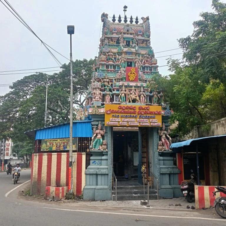 Arulmigu Selliamman Temple, Velachery, Chennai - 600042 அருள்மிகு செல்லியம்மன் கோயில், வேளச்சேரி, சென்னை - 600042, Chennai - Ancient Temple Architecture and History Image 6
