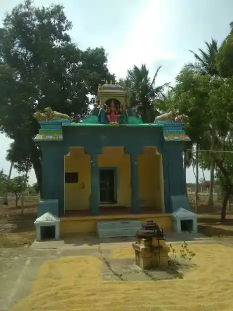 Arulmigu Selliamman Temple, Vilangudi, Vilangudi - 613204 அருள்மிகு செல்லியம்மன் திருக்கோயில், Vilangudi, Vilangudi - 613204, Thanjavur - Ancient Temple Architecture and History Image 2