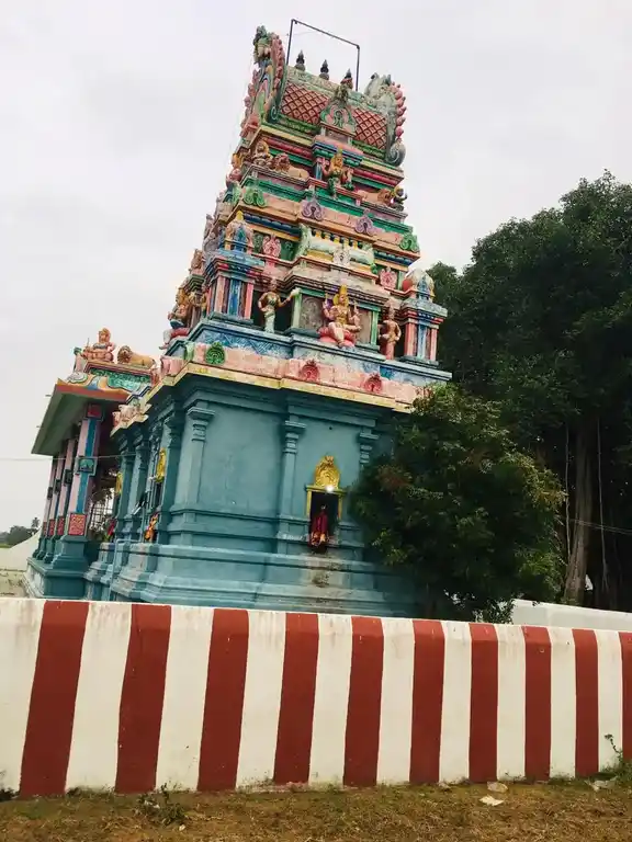 Arulmigu Selliyamman And Naagaaththamman Temple, Angampattu - 603109 அருள்மிகு செல்லியம்மன் மற்றும் நாகாத்தம்மன் திருக்கோயில், Angampattu - 603109, Chengalpattu - Ancient Temple Architecture and History Image 2
