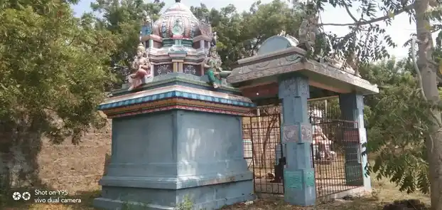 Arulmigu Selliyamman (E) Pidari Temple, Puththamangalam - 606107 அருள்மிகு செல்லியம்மன் திருக்கோயில், Puththamangalam - 606107, Kallakurichi - Ancient Temple Architecture and History Image 3