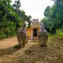 Arulmigu Selliyamman Karuppanar Temple, Periya Krishnapuram - 636115
