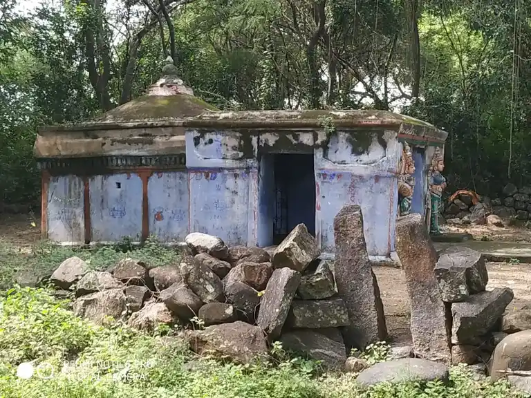 Arulmigu Selliyamman, Pidariyamman Temple, Pattuthurai - 636112 அருள்மிகு செல்லியம்மன், பிடாரியம்மன் திருக்கோயில், Pattuthurai - 636112, Salem - Ancient Temple Architecture and History Image 5