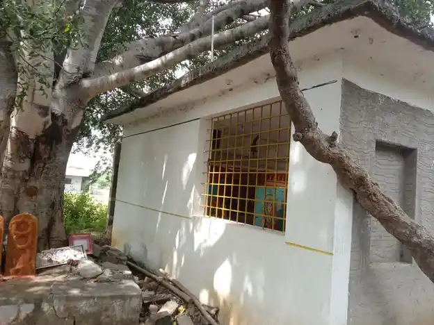 Arulmigu Selliyamman Temple, Agasipalli - 635002 அருள்மிகு செல்லியம்மன் திருக்கோயில், Agasipalli - 635002, Krishnagiri - Ancient Temple Architecture and History Image 3