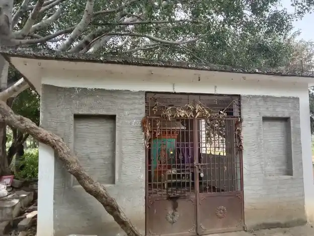 Arulmigu Selliyamman Temple, Agasipalli - 635002 அருள்மிகு செல்லியம்மன் திருக்கோயில், Agasipalli - 635002, Krishnagiri - Ancient Temple Architecture and History Image 4