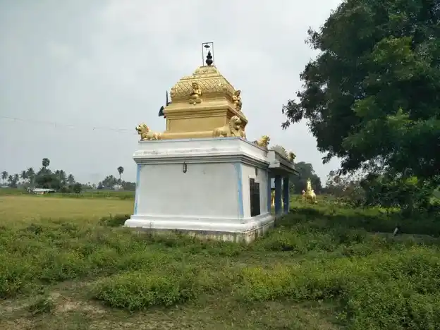 Arulmigu Selliyamman Temple, Attur - 636141 Temple