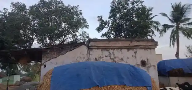 Arulmigu Selliyamman Temple, Balarahalli - 636808 அருள்மிகு செல்லியம்மன் திருக்கோயில், Balarahalli - 636808, Dharmapuri - Ancient Temple Architecture and History Image 2