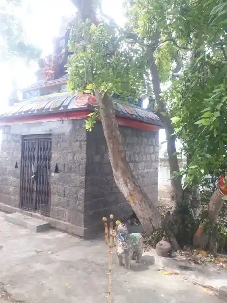 Arulmigu Selliyamman Temple, Chikkamarandahalli, Chikkamarandahalli - 636808