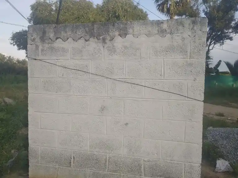 Arulmigu Selliyamman Temple, Gangaleri - 635122 அருள்மிகு செல்லியம்மன் திருக்கோயில், கெங்கலேரி - 635122, Krishnagiri - Ancient Temple Architecture and History Image 4