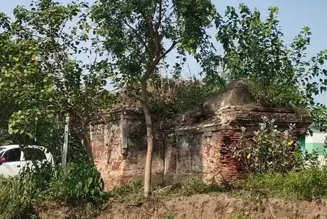 Arulmigu Selliyamman Temple, Kalambaram - 612504 அருள்மிகு செல்லியம்மன் திருக்கோயில், Kalambaram - 612504, Thanjavur - Ancient Temple Architecture and History Image 4