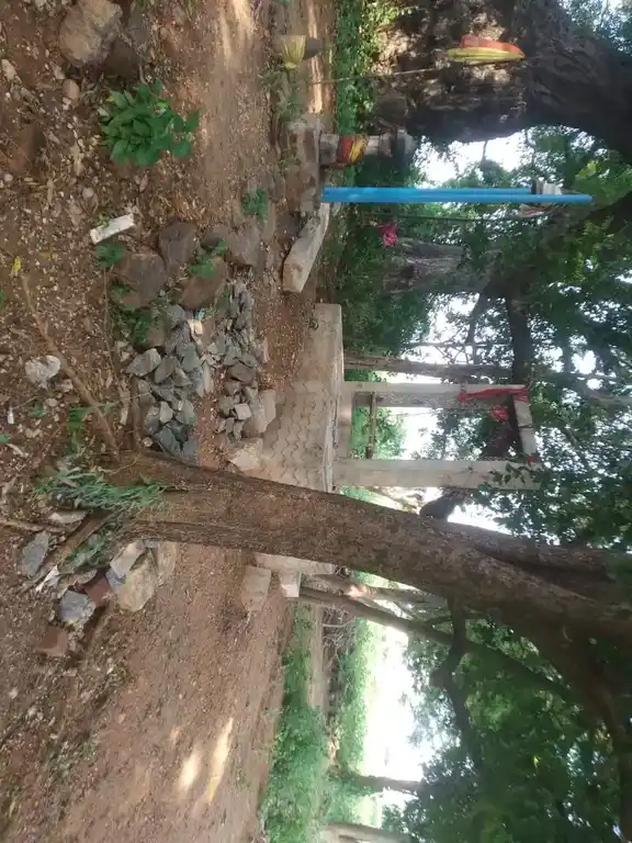 Arulmigu Selliyamman Temple, Kallaanaththam - 606201 Arulmigu Selliyamman Temple, Kallaanaththam - 606201, Kallakurichi - Ancient Temple Architecture and History Image 3