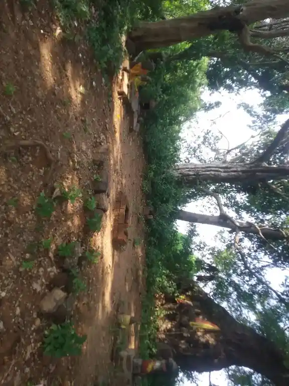 Arulmigu Selliyamman Temple, Kallaanaththam - 606201 Arulmigu Selliyamman Temple, Kallaanaththam - 606201, Kallakurichi - Ancient Temple Architecture and History Image 4