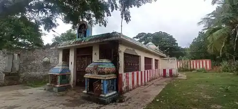 Arulmigu Selliyamman Temple, Kallikkudi - 610106 அருள்மிகு செல்லியம்மன் திருக்கோயில், Kallikkudi - 610106, Thiruvarur - Ancient Temple Architecture and History Image 3
