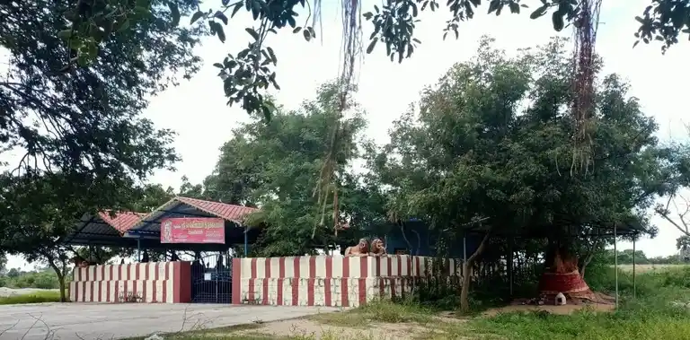 Arulmigu Selliyamman Temple, Karadi - 606207 அருள்மிகு செல்லியம்மன் திருக்கோயில், Karadi - 606207, Kallakurichi - Ancient Temple Architecture and History Image 2