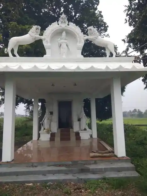 Arulmigu Selliyamman Temple, Karadichitthur - 606207 அருள்மிகு செல்லியம்மன் திருக்கோயில், Karadichitthur - 606207, Kallakurichi - Ancient Temple Architecture and History Image 3