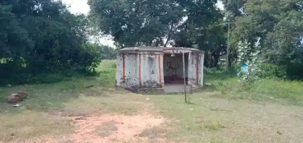 Arulmigu Selliyamman Temple, Karagatha Halli, Kadamadai - 636808 அருள்மிகு செல்லியம்மன் திருக்கோயில், Karagatha Halli, Kadamadai - 636808, Dharmapuri - Ancient Temple Architecture and History Image 3