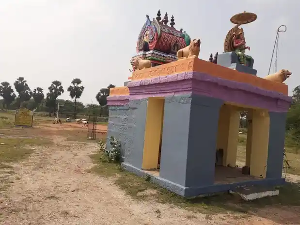 Arulmigu Selliyamman Temple, Nakkampadi - 621714 அருள்மிகு செல்லியம்மன் திருக்கோயில், Nakkampadi - 621714, Ariyalur - Ancient Temple Architecture and History Image 2