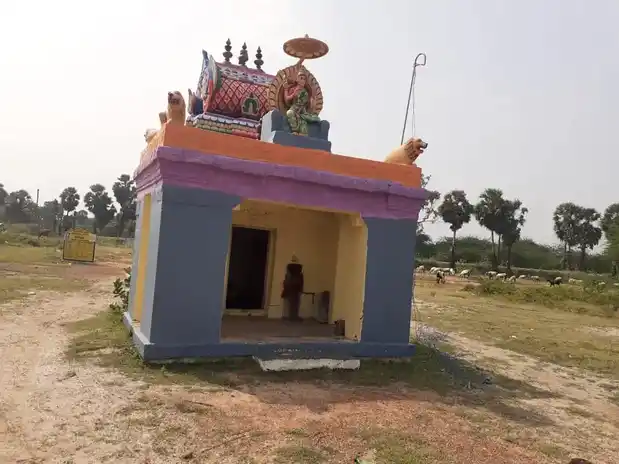 Arulmigu Selliyamman Temple, Nakkampadi - 621714 அருள்மிகு செல்லியம்மன் திருக்கோயில், Nakkampadi - 621714, Ariyalur - Ancient Temple Architecture and History Image 3