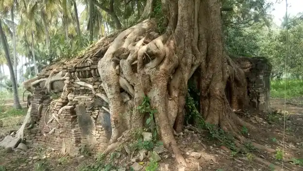 Arulmigu Selliyamman Temple, P S Agraharam - 636809 அருள்மிகு செல்லியம்மன் திருக்கோயில், கே ஈச்சம்பாடி, P S Agraharam - 636809, Dharmapuri - Ancient Temple Architecture and History Image 3