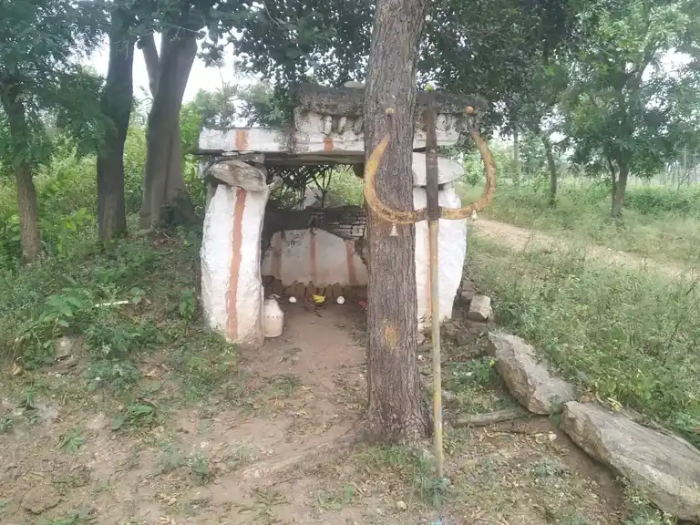 Arulmigu Selliyamman Temple, Palacode To Belrampattei Road, Boppadi - 636808