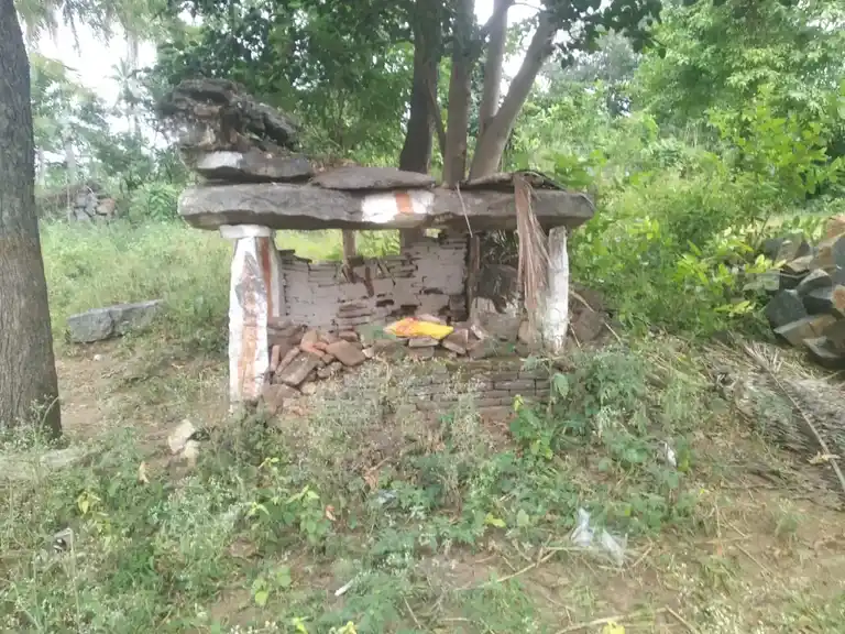 Arulmigu Selliyamman Temple, Palacode To Belrampattei Road, Boppadi - 636808 அருள்மிகு செல்லியம்மன் திருக்கோயில், Palacode To Belrampattei Road, Boppadi - 636808, Dharmapuri - Ancient Temple Architecture and History Image 4