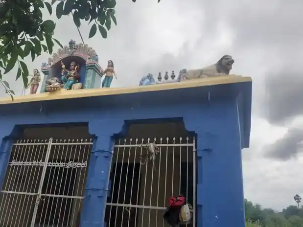 Arulmigu Selliyamman Temple, Palaiyur - 621005 Temple
