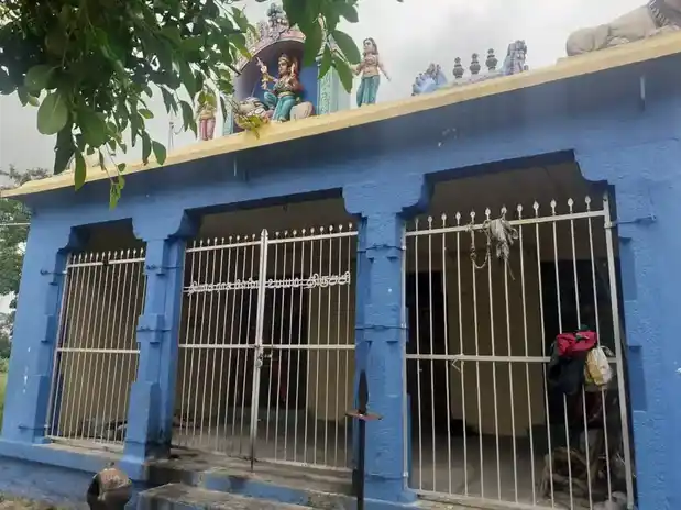 Arulmigu Selliyamman Temple, Palaiyur - 621005 அருள்மிகு செல்லியம்மன் திருக்கோயில், Palaiyur - 621005, Thiruchirappalli - Ancient Temple Architecture and History Image 3