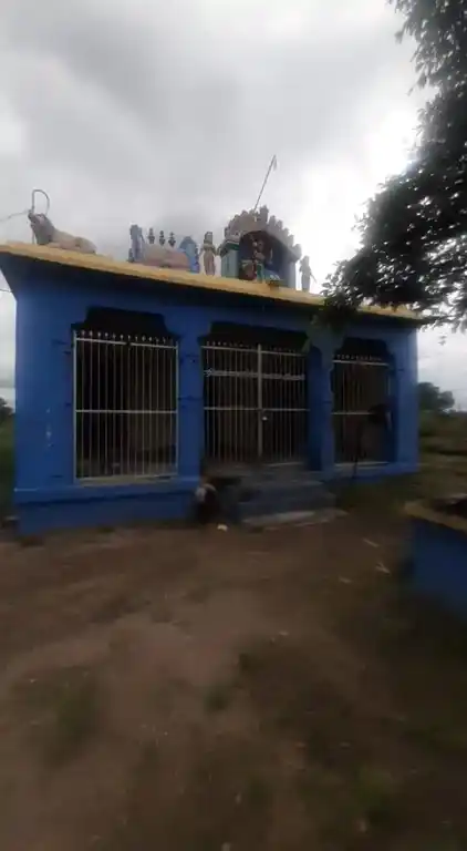 Arulmigu Selliyamman Temple, Palaiyur - 621005 அருள்மிகு செல்லியம்மன் திருக்கோயில், Palaiyur - 621005, Thiruchirappalli - Ancient Temple Architecture and History Image 4