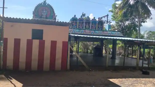 Arulmigu Selliyamman Temple, Perappadi - 612605 அருள்மிகு செல்லியம்மன் திருக்கோயில், Perappadi - 612605, Thanjavur - Ancient Temple Architecture and History Image 3